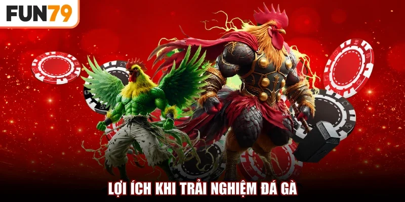 Lợi ích khi trải nghiệm đá gà