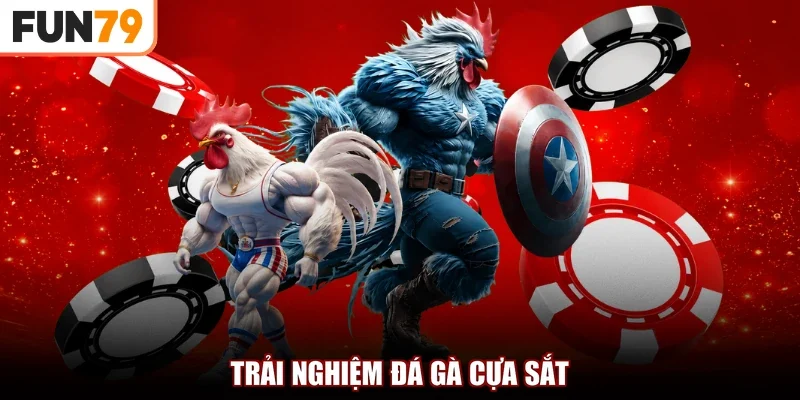 Trải nghiệm đá gà cựa sắt